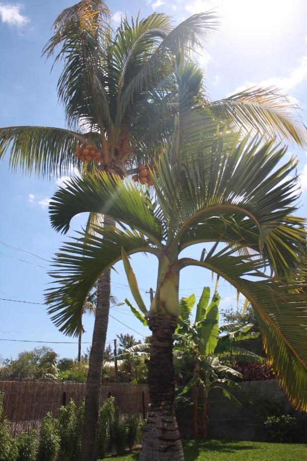 Jolie Case Creole, Lagon A Pied, Jardin Saint-Gilles-les Bains Esterno foto